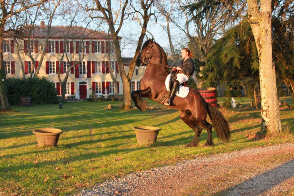 Le Relais Du Silence Chateau Lavail Labastide-dʼAnjou Dış mekan fotoğraf